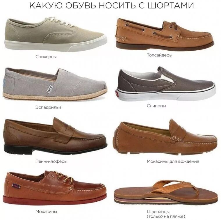 Разновидность обуви фото Путеводитель по мужской обуви: называем правильно 0 Shoes with shorts, Mens shoe