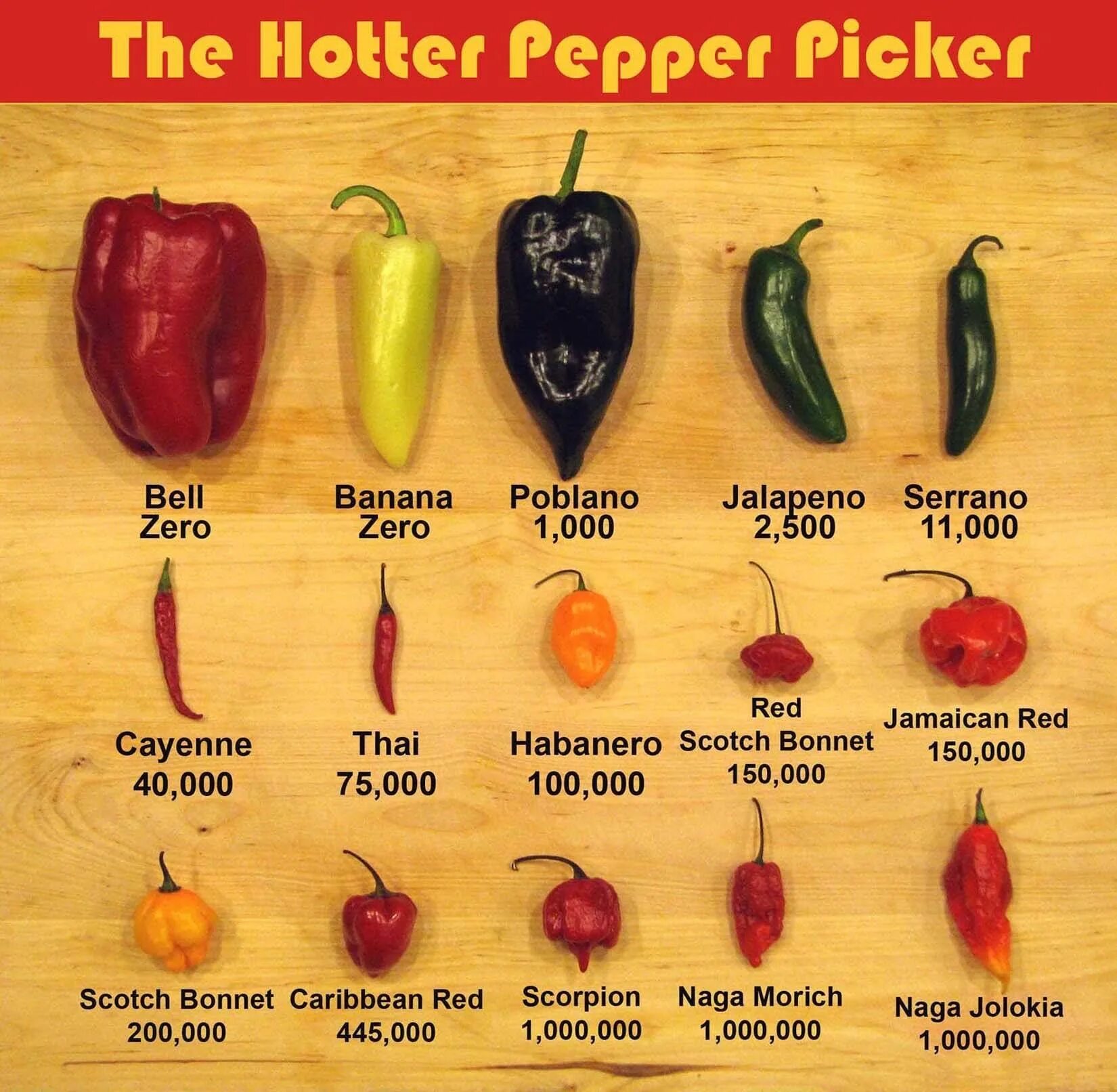 Your Complete Guide to Which Peppers to Use, When Scratchpad by Good Eggs Stuffe