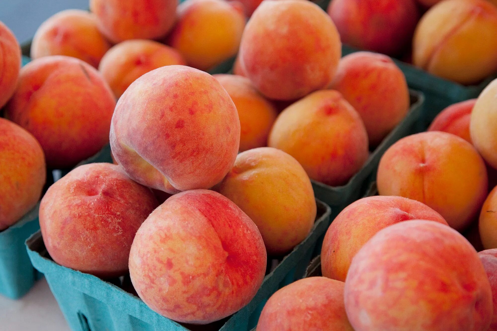 Разновидность персиков название и фото 4 Types of Peaches to Know This Summer