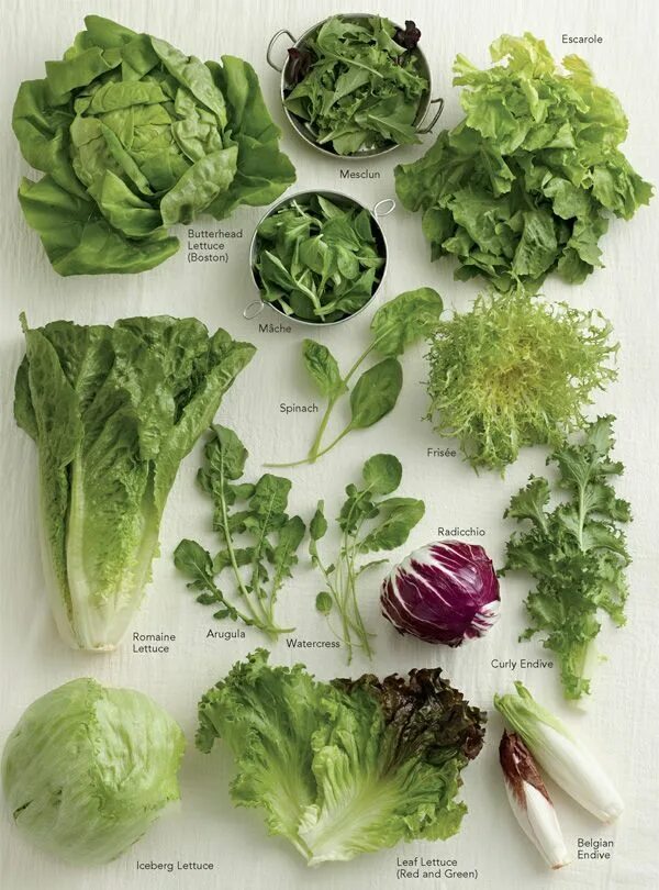 Разновидность салатов фото и название Salad Basics - Mild Greens & Bold Greens and Cabbage Types of salad, Good health