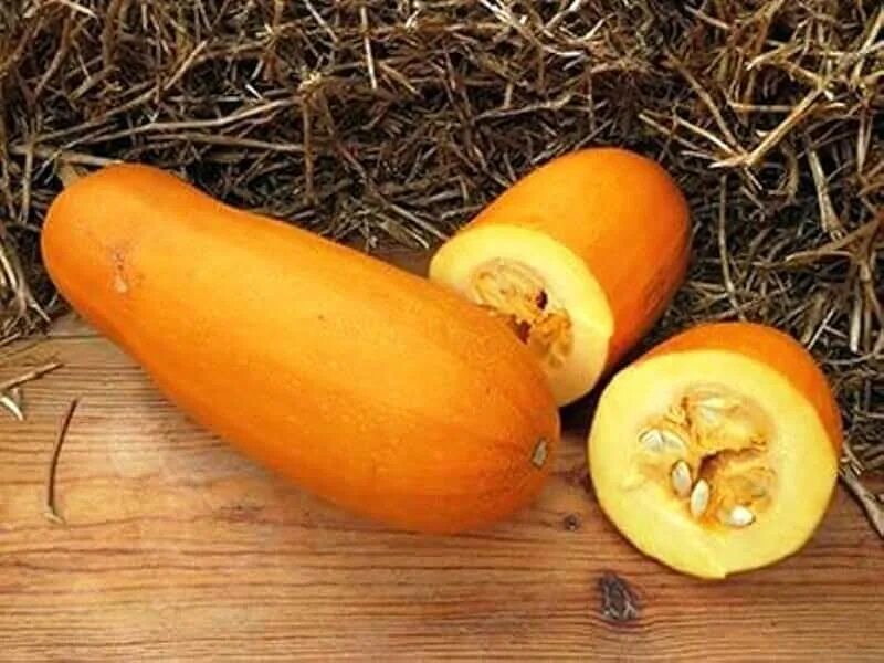 Разновидность тыквы с продолговатыми плодами фото Amazon.com: Pie Pumpkin Seeds For Planting