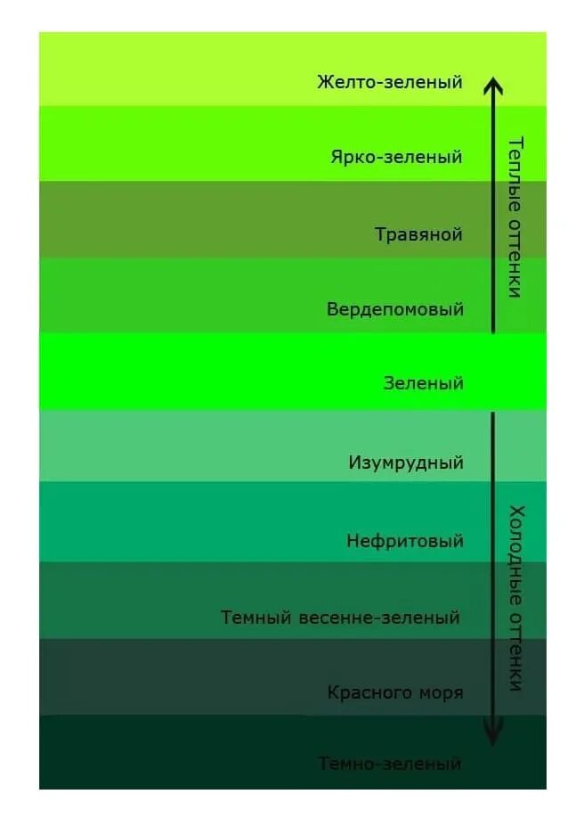 Разновидность зеленого цвета фото Благородный зеленый фото - DelaDom.ru