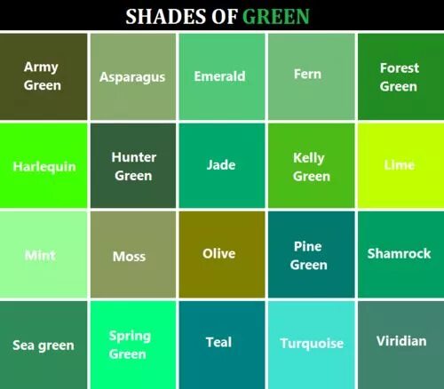 Разновидность зеленого цвета фото Green Color Names Chart