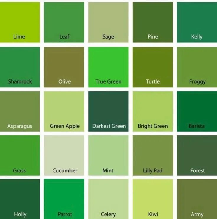 Разновидность зеленого цвета фото your best.S. on Twitter Colores de pintura verdes, Tipos de verde, Tipos de colo