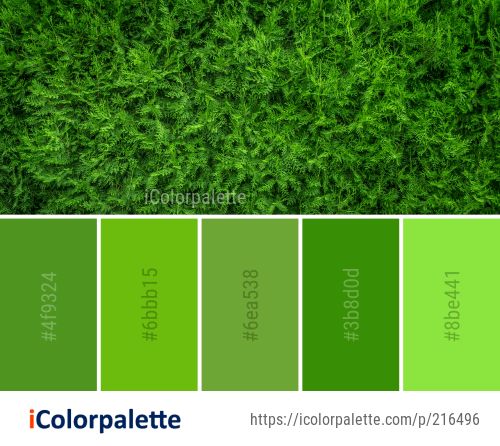 Разновидность зеленого цвета фото Color Palette Ideas from Green Grass Vegetation Image Green colour palette, Pale