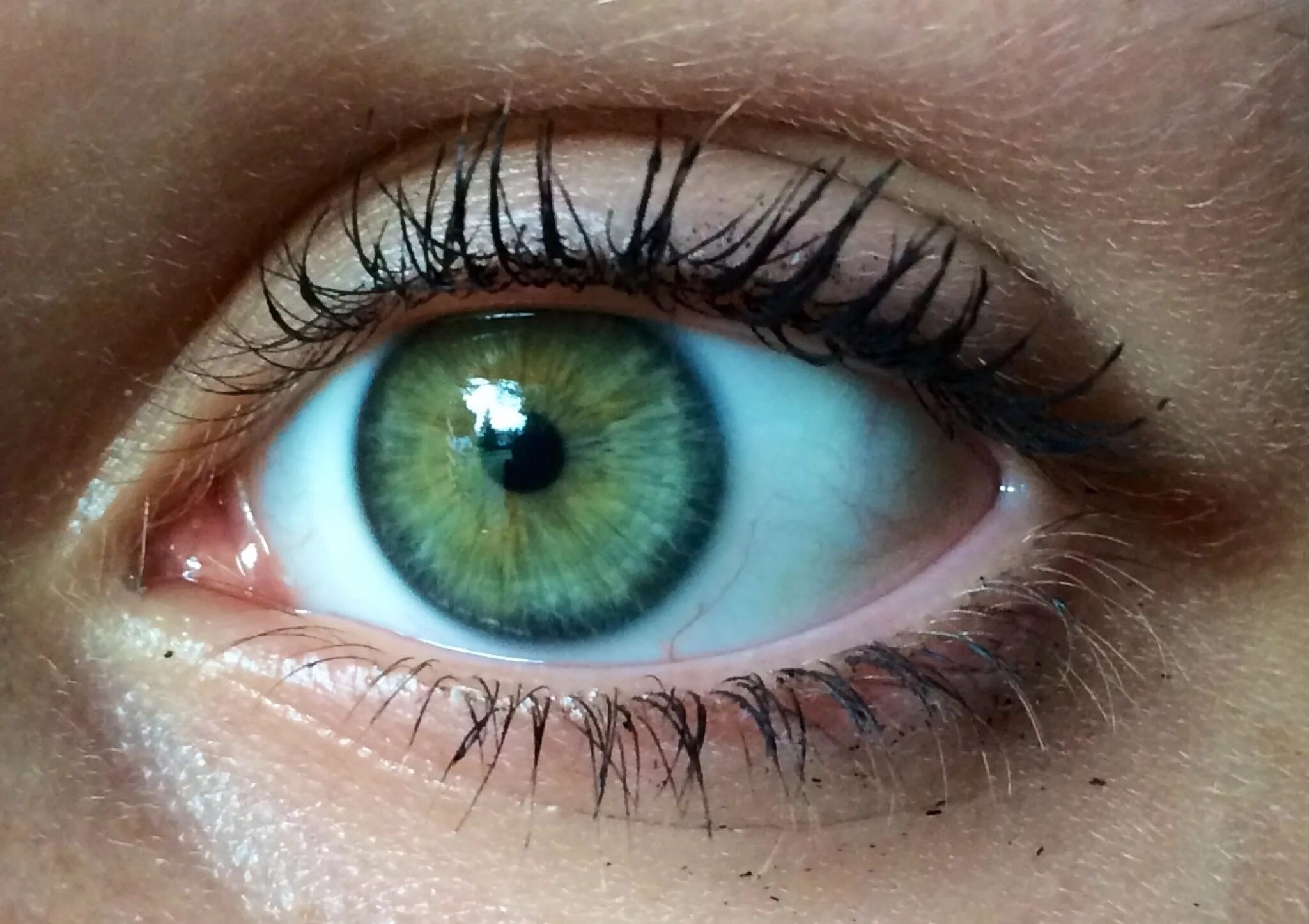 Разновидность зеленых глаз фото Eye ref Blue green eyes, Dark green eyes, Blue eyes aesthetic