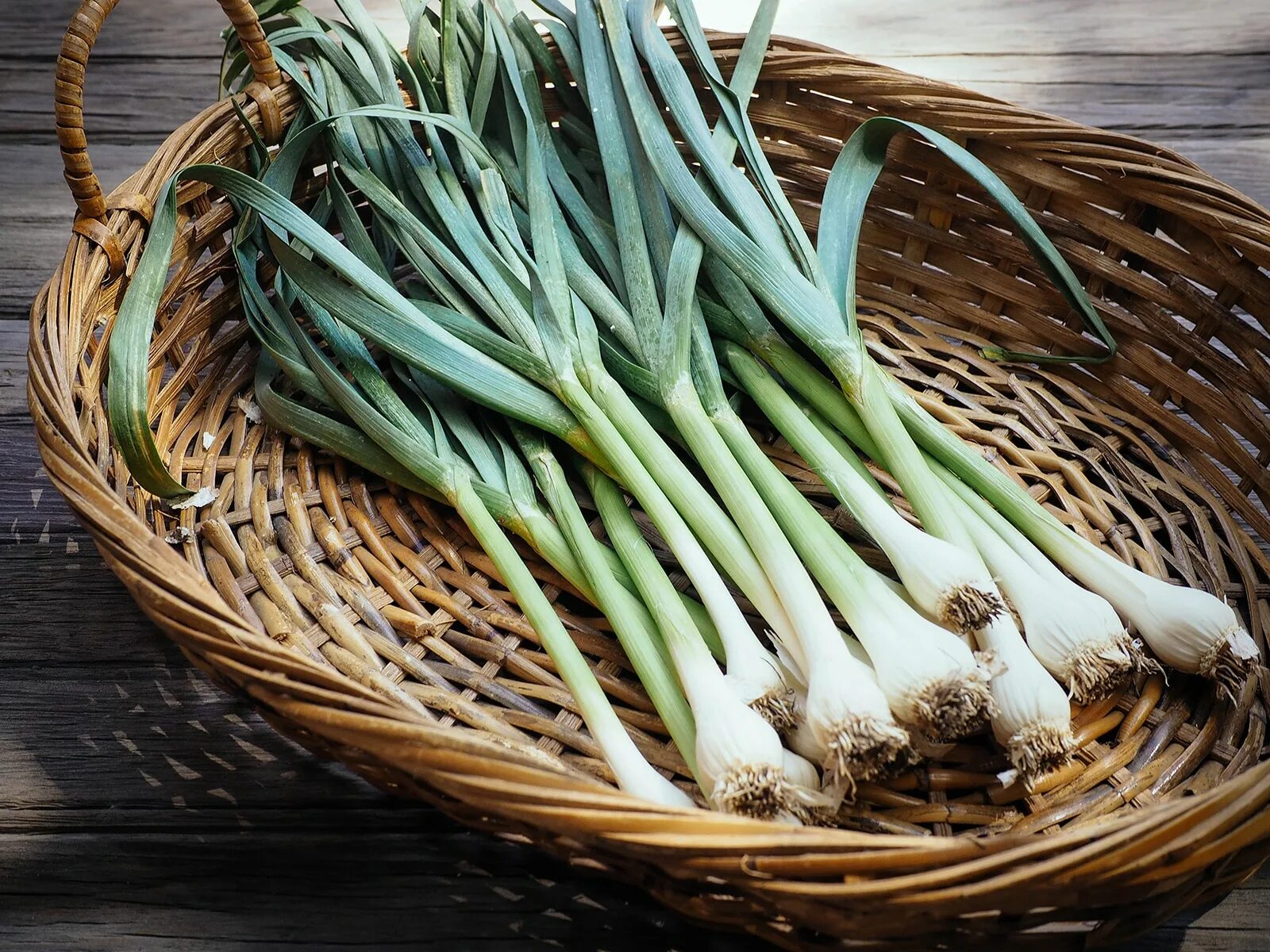 Разновидности чеснока названия и фото Green Garlic Is the Bonus Crop You Never Knew You Had - Garden Betty