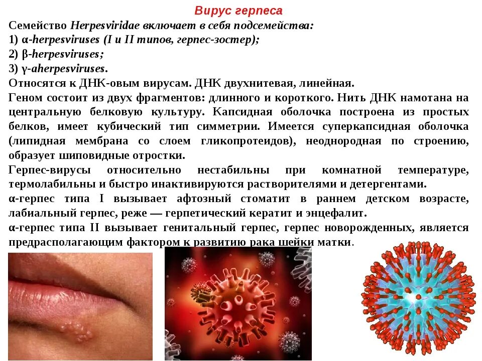 Разновидности герпеса на теле фото Картинки ВИРУС ГЕРПЕСА КАК ПРОЯВЛЯЕТСЯ