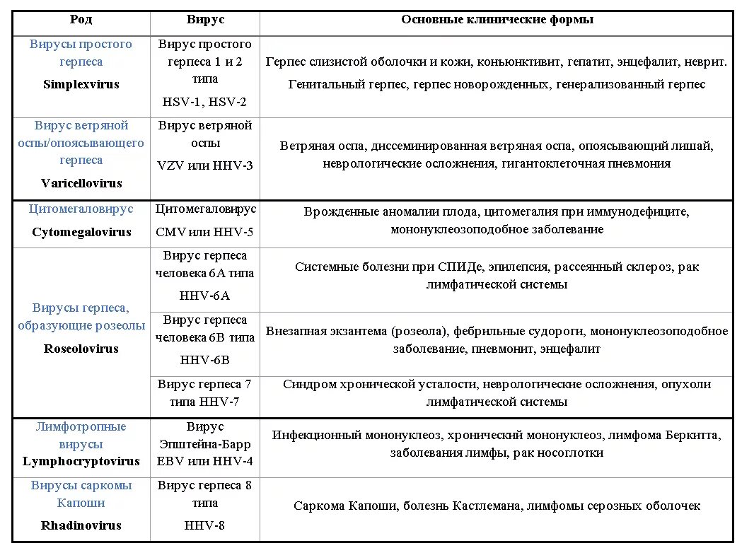 Разновидности герпеса на теле фото и описание Впг 1 2 6