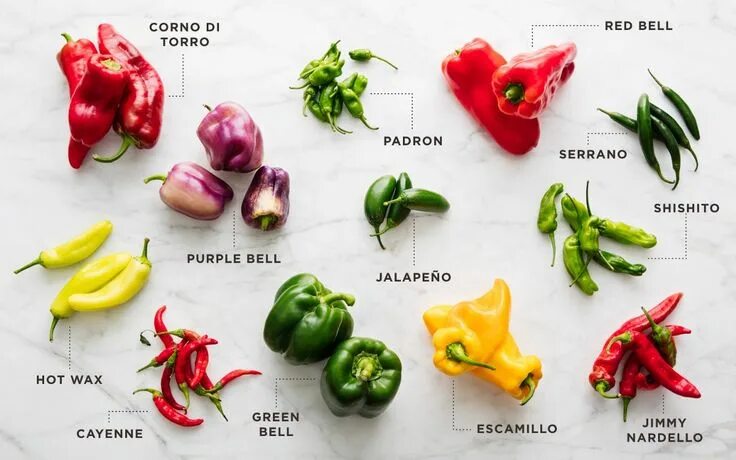 Разновидности горького перца фото и описание Your Complete Guide to Which Peppers to Use, When Scratchpad by Good Eggs Stuffe