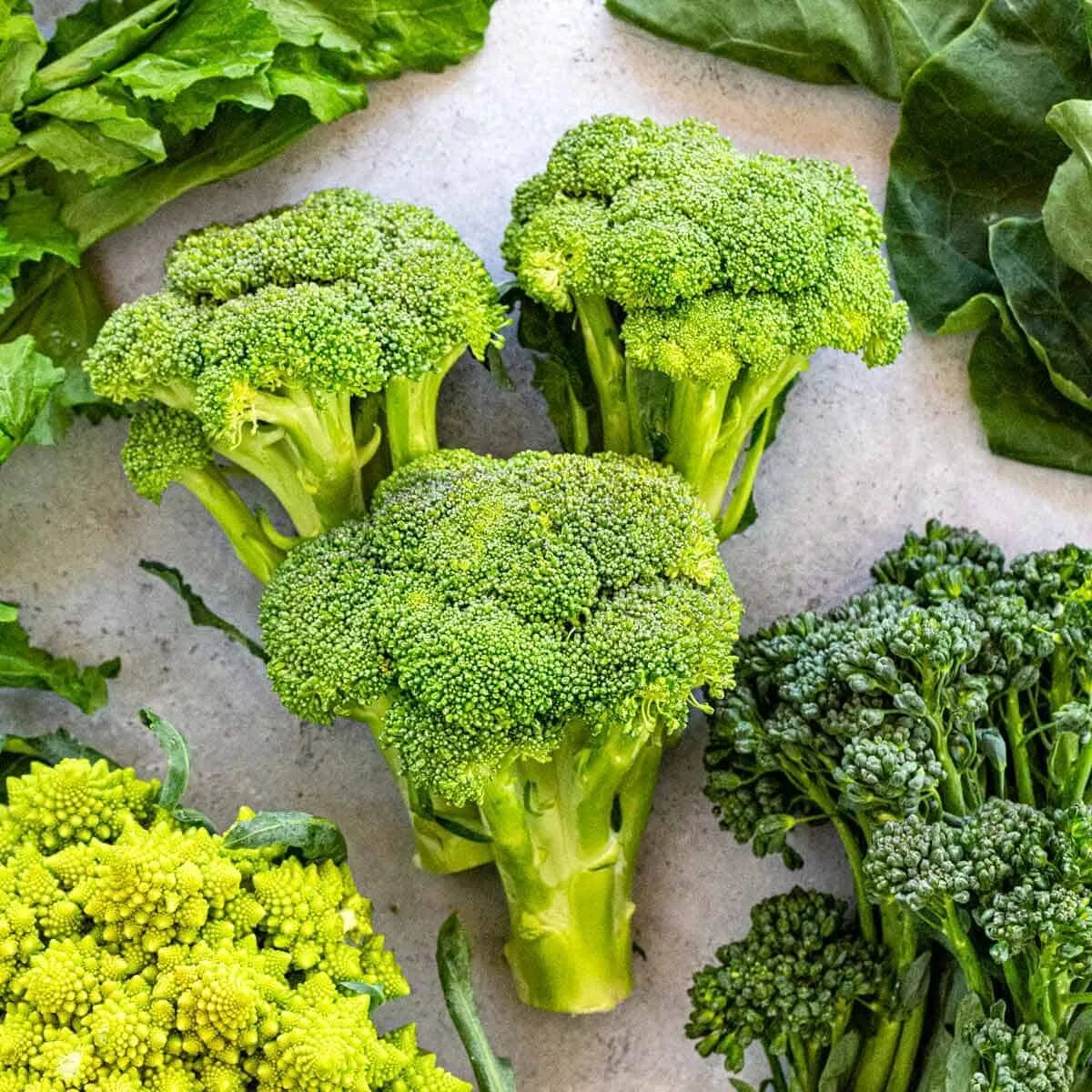 Разновидности капусты брокколи фото Types of Broccoli - Jessica Gavin