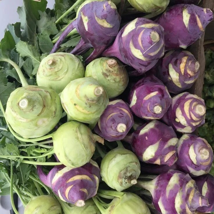 Разновидности капусты с фото Yes, You Can Eat That: How to Cook With Kohlrabi From the Market