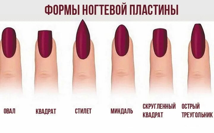 Разновидности маникюра фото и названия Pin on Маникюр Subtle nails, Nails, Cute nails