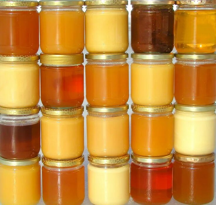 Разновидности меда по цвету фото и название Exploring 36 Types of Honey Varieties (#21 is Highly Sought-After) Мед, Мед пчел