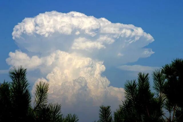 Разновидности облаков фото Mushroom Clouds Clouds photography, Clouds, Sky and clouds