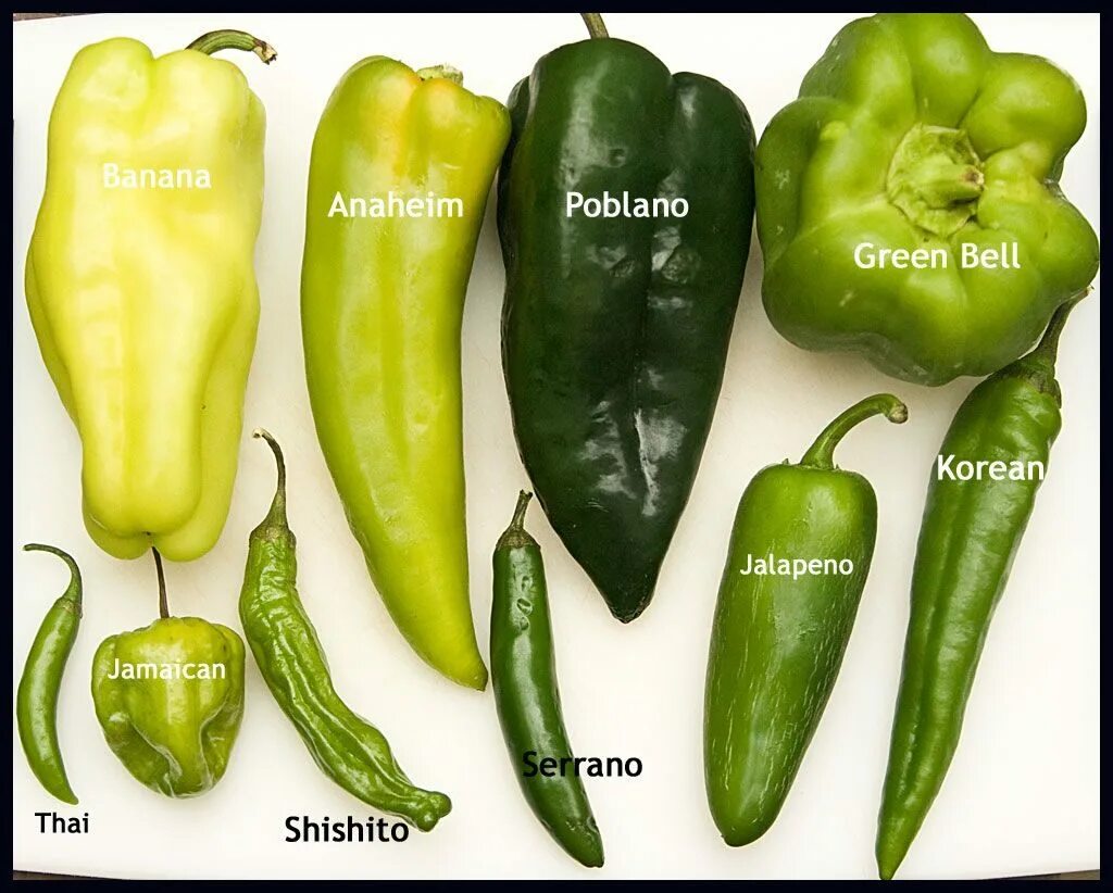 Разновидности перцев фото с названиями A Plethora of Peppers to Pick N.C. Cooperative Extension