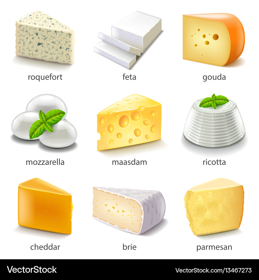 Разновидности сыров названия с фото Cheese Types Vector Images (over 2,100)