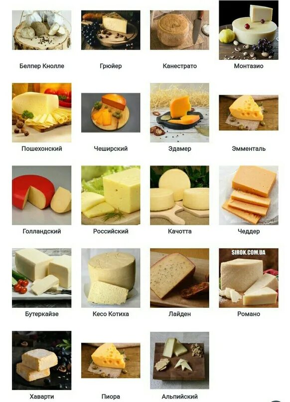 Types of Cheese with Pictures Types of cheese, Cheese, Soft cheese