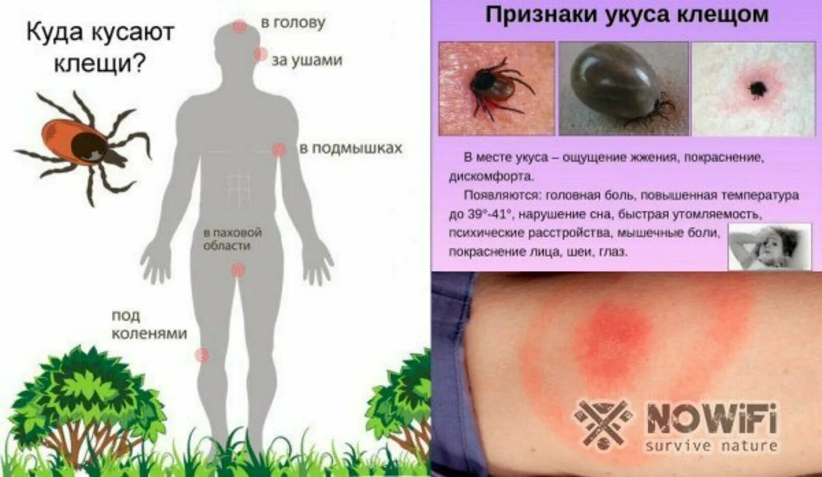 Обработка холодным туманом в Чугуевке - Обеззараживание помещения - Разное: 8 де