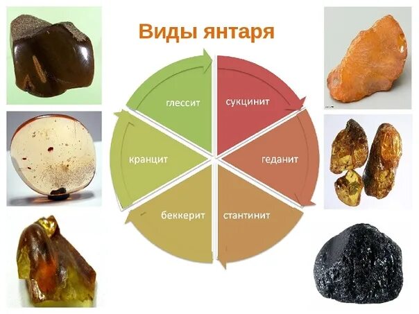 Разновидности янтаря по цвету фото Ddx янтарь