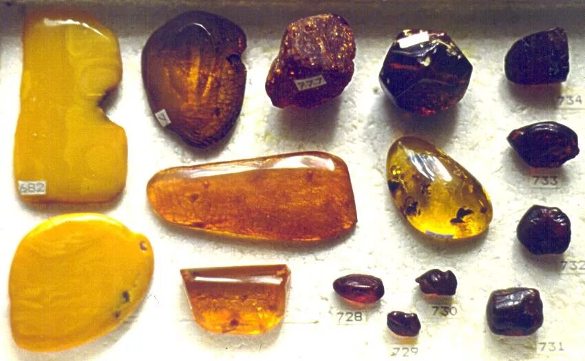 Разновидности янтаря по цвету фото и название Янтарь (органика), Amber, Bernstein, * Mineral Catalog