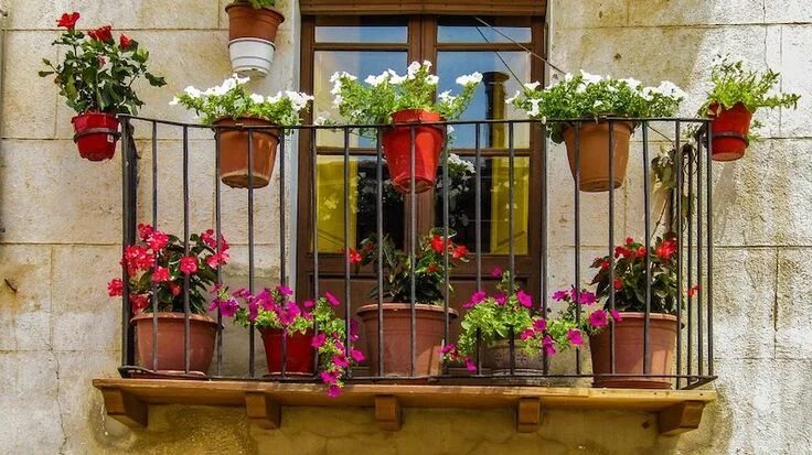 Разные балконы фото Kwiaty Na Balkon. Jakie Rośliny Na Balkon Będą Najlepsze? Flores del balcón, Jar