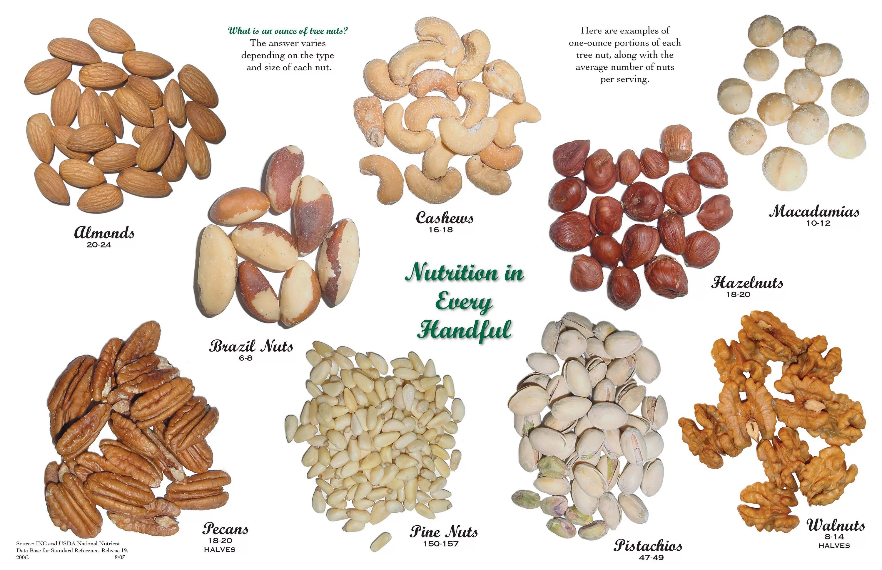 Разные орехи фото с названиями и описанием 1 oz servings of different types of tree nuts. (almonds, cashews, pistachios, pe