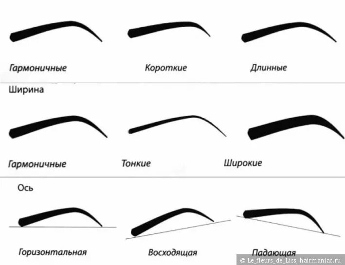 Разные типы бровей фото Идеальные брови. Разбираемся во всех тонкостях / Окрашивание / Hairmaniac - сооб
