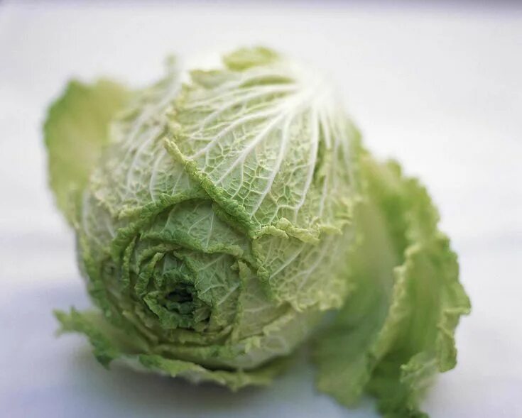 Разные виды капусты фото What Is Savoy Cabbage? Types of cabbage, Cabbage, Savoy cabbage