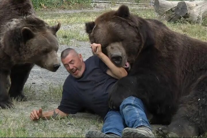 Разорванные медведем фото Bear hugs are never ending for this lucky man