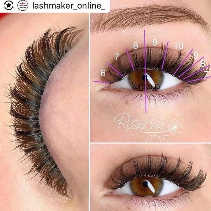 Pinterest Makeup eyelashes, Lashes makeup, Perfect eyelashes Lashes makeup, Make