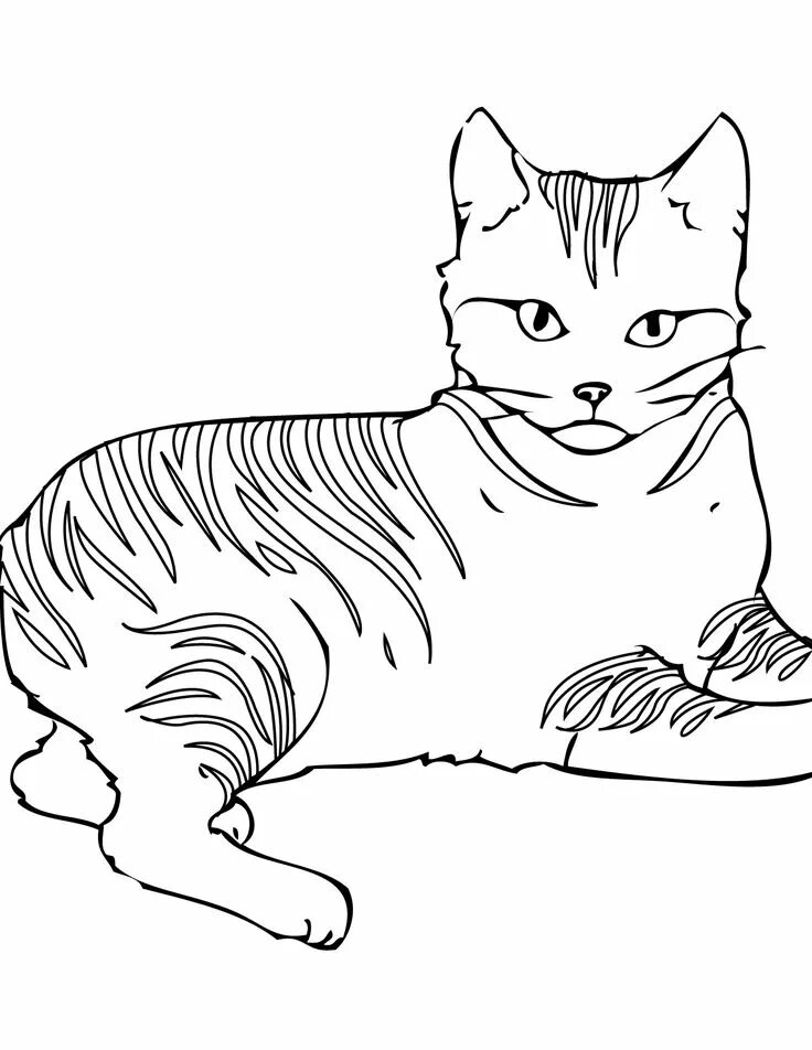 Разукрашка котики фото awesome cat pictures to color and print Special Picture Cat coloring book, Cat c