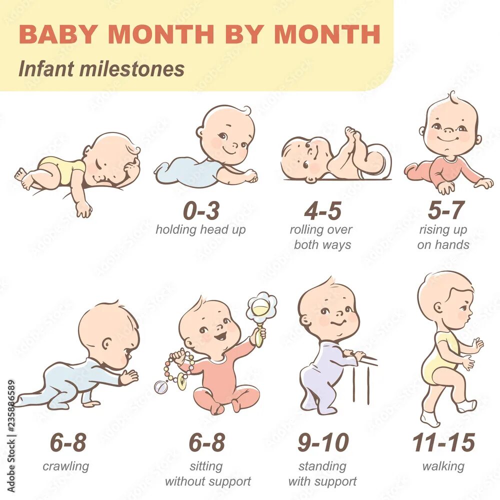 Развитие ребенка по месяцам фото Set of child health and development icon. Linear infographic of baby growth from