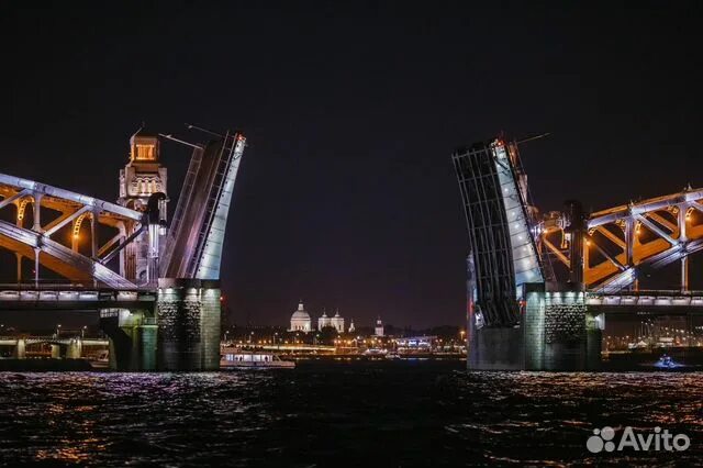 Разводные мосты санкт петербурга фото с названиями Экскурсия - Санкт-Петербург - Ночной круиз на разв купить в Москве Хобби и отдых