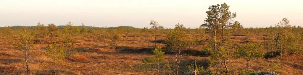 Рдейский заповедник фото Рдейский заповедник с маршрутами на ПоискПути