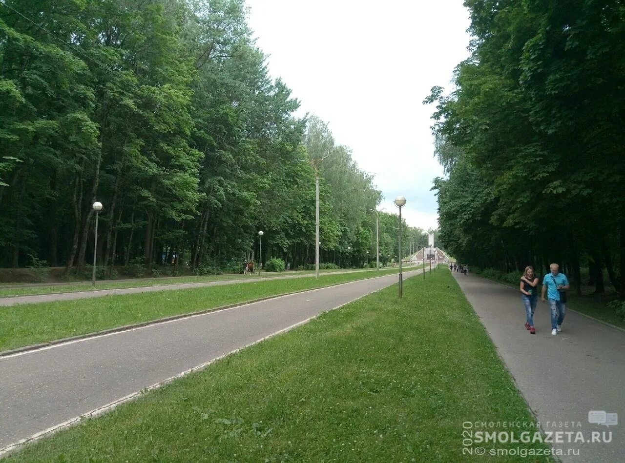 Реадовский парк смоленск фото Дорогу к озеру в Реадовском парке благоустроят 04.09.2020 Смоленск - БезФормата