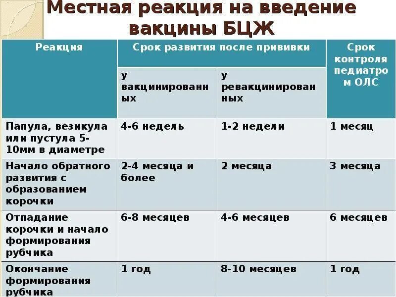 Реакция бцж по месяцам фото Когда и зачем делают вакцинацию БЦЖ младенцам в роддоме: заживление, осложнения