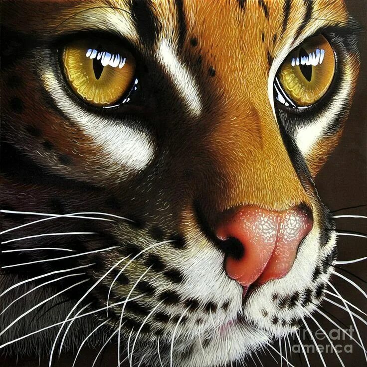 Реалистичные картинки животных Ocelot Paintings for Sale Cat art, Animal art, Cat aesthetic