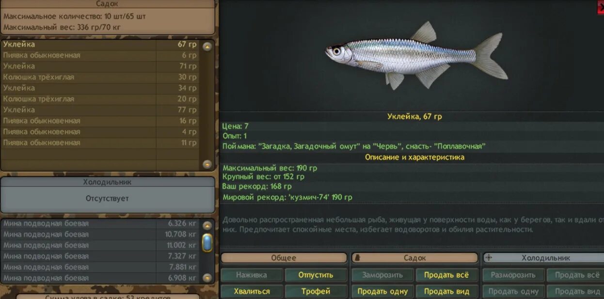 Реальная игра на что ловить уклейка Симулятор онлайн рыбалки Fantastic Fishing; Уклейка