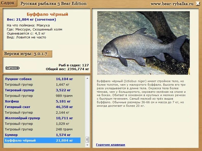 Реальная рыбалка буффало на что ловить Буффало чёрный