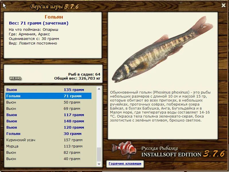 Реальная рыбалка гольян на что ловить РУССКАЯ РЫБАЛКА Installsoft Edition