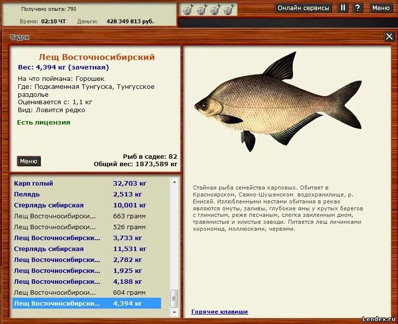 Реальная рыбалка лещ на что ловить форум игры Русская рыбалка