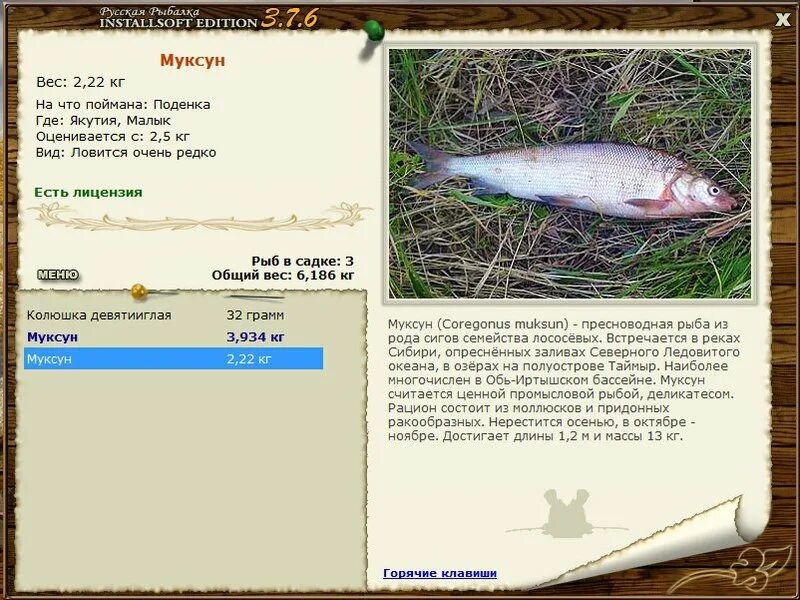 Реальная рыбалка муксун на что ловить РУССКАЯ РЫБАЛКА Installsoft Edition