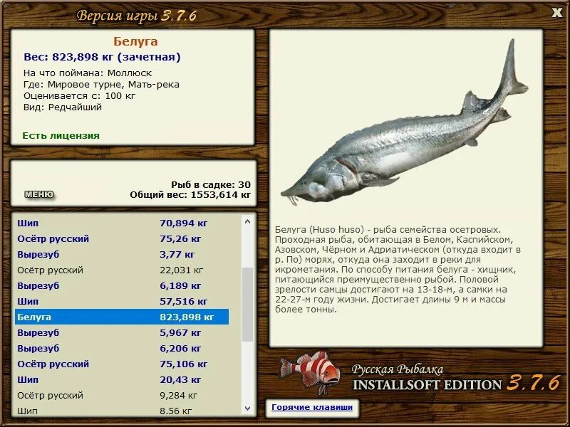 Реальная рыбалка на что ловить белугу РУССКАЯ РЫБАЛКА Installsoft Edition