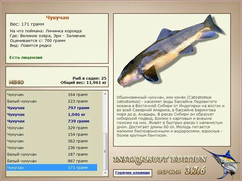 Реальная рыбалка на что ловить чукучан Заливчик * Великие Американские озёра * РУССКАЯ РЫБАЛКА