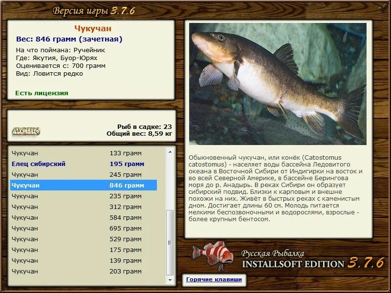 Реальная рыбалка на что ловить чукучан РУССКАЯ РЫБАЛКА Installsoft Edition