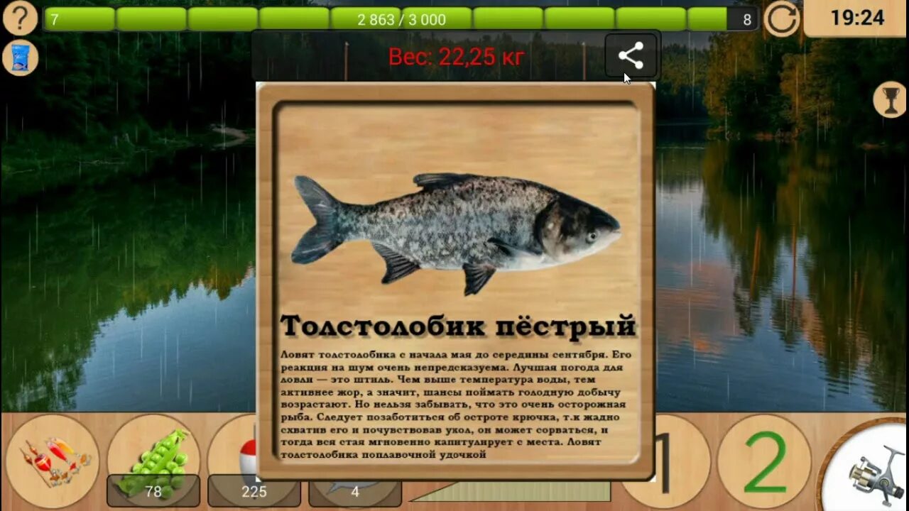 Реальная рыбалка на что ловить линь рыбхоз Реальная рыбалка (android) 15 часов на лесном озере. Черный лещ на горох и кукур