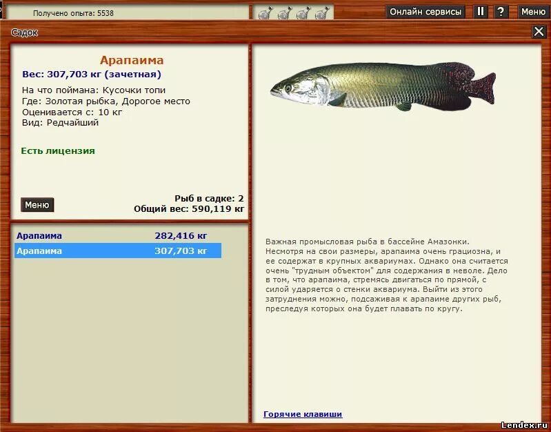Реальная рыбалка рыбхоз на что ловить арапайма форум игры Русская рыбалка