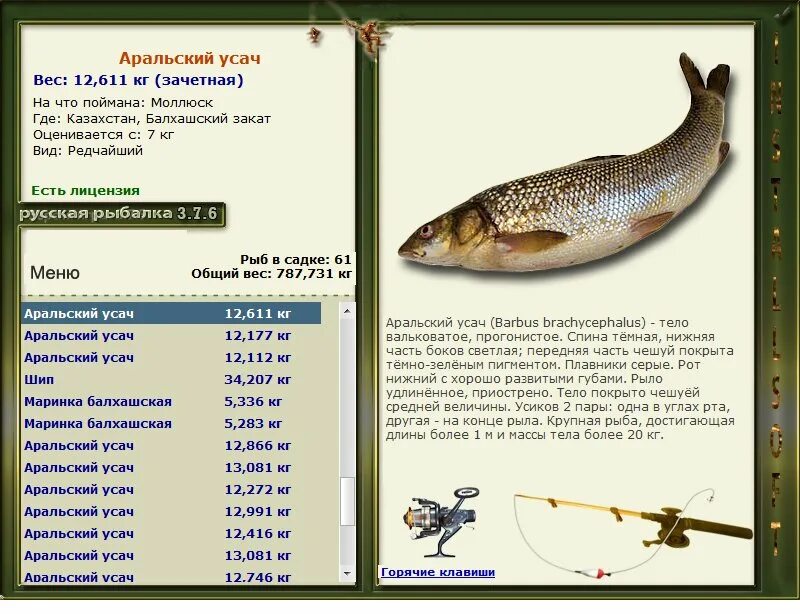 Реальная рыбалка усач на что ловить Сет * Praise-турниры * РУССКАЯ РЫБАЛКА