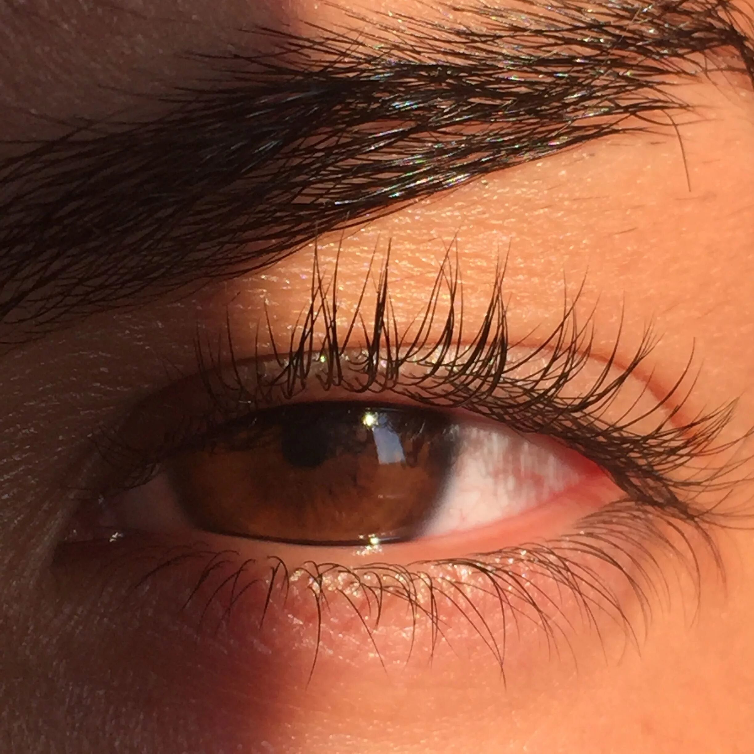 Реальное фото карих глаз MY eye Aesthetic eyes, Brown eyes aesthetic, Stunning eyes